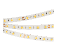 Лента RT-B60-10mm 24V Warm3000 (14.4 W/m, IP20, 5m) (Arlight, Открытый)