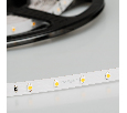 Лента RT 2-5000 24V Warm2700 (3528, 300 LED, S-LUX) (Arlight, Открытый)