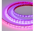 Лента герметичная SPI-PS-B60-12mm 24V RGB-PX6-BPT (12 W/m, IP67, 5060, 5m) (Arlight, бегущий огонь)