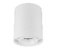 Светильник SP-FOCUS-R132-24W Day4000 (WH, 36 deg, 230V) (Arlight, IP54 Металл, 5 лет)