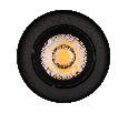 Светильник SP-FOCUS-R132-24W Warm3000 (BK, 36 deg, 230V) (Arlight, IP54 Металл, 5 лет)