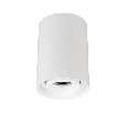 Светильник SP-FOCUS-R86-10W Day4000 (WH, 24 deg, 230V) (Arlight, IP54 Металл, 5 лет)
