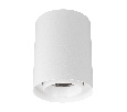 Светильник SP-FOCUS-R110-18W Day4000 (WH, 24 deg, 230V) (Arlight, IP54 Металл, 5 лет)