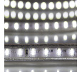 Лента светодиодная 220В, SMD3014, 9,6Вт/м, 120 LED/м, Холодный белый, 6х10,6мм, 100м, с кабелем питания, IP67 NEON-NIGHT