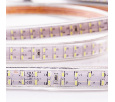Лента светодиодная 220В, SMD3014, 19,2Вт/м, 240 LED/м, Холодный белый, 6,5х15мм, 100м, с кабелем питания, IP67 NEON-NIGHT