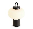 Настольный светильник Freya Take FR6175TL-L10B