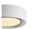 Потолочный светильник Freya Cozy FR6170CL-L52BS