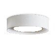 Потолочный светильник Freya Cozy FR6170CL-L52BS