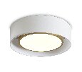 Потолочный светильник Freya Cozy FR6170CL-L52BS