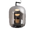 Подвесной светильник Freya Clod FR6186PL-L7SM2
