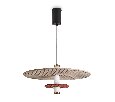 Подвесной светильник Freya Acoustic FR5494PL-L9TR