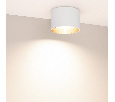 Светильник SP-BISCOTTO-R120-12W Warm3300-MIX (WH-GD, 80 deg, 230V) (Arlight, IP54 Металл, 5 лет)