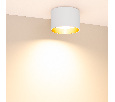 Светильник SP-BISCOTTO-R120-12W Warm3300-MIX (WH-GD, 80 deg, 230V) (Arlight, IP54 Металл, 5 лет)