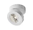Потолочный светильник Technical Magic C022CL-12W4K-W-1