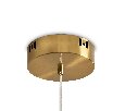 Подвесная люстра Freya Amela FR6138PL-L44BS