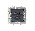 Механизм выключателя двухклавишный непроходной SWT-MK02-PL-GR (250V, 16A) (Arlight, -)