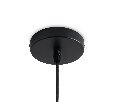 Подвесной светильник Freya Shiny FR5547PL-01SM