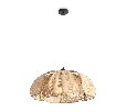 Подвесной светильник Freya Cocoon FR5529PL-01B