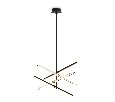 Подвесной светильник Freya Brilliance FR5557PL-L22B