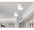 Накладной точечный светильник GX53 Ambrella Light TN5245