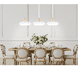 Светильник светодиодный подвесной Ambrella Light FL4840