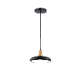Светильник светодиодный подвесной Ambrella Light FL4839