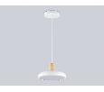 Светильник светодиодный подвесной Ambrella Light FL4838