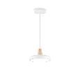 Светильник светодиодный подвесной Ambrella Light FL4838