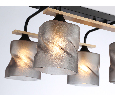 Светильник потолочный со стеклянными плафонами Ambrella Light TR3033249
