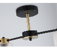 Люстра на штанге со стеклянными плафонами Ambrella Light TR303324