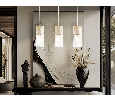Светильник подвесной Ambrella Light TR8499