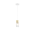Светильник подвесной Ambrella Light TR8498