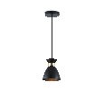 Светильник подвесной в стиле лофт Ambrella Light TR8468