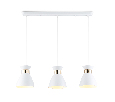 Светильник подвесной в стиле лофт Ambrella Light TR8466