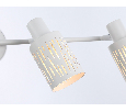 Настенно-потолочный спот в стиле лофт Ambrella Light TR8666