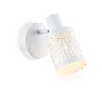 Настенно-потолочный спот в стиле лофт Ambrella Light TR8663