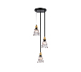 Подвесной светильник Ambrella Light LH58112