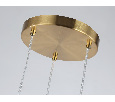 Подвесной светильник Ambrella Light LH55112