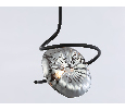 Подвесной светильник Ambrella Light LH15001
