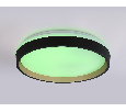 Светодиодный светильник RGB с пультом управления Ambrella Light FZ604