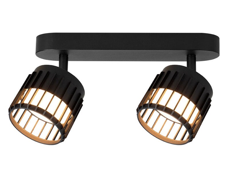 Спот Arte Lamp Atria A8031PL-2BK