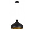 Подвесной светильник Arte Lamp Carmel A7076SP-1BK