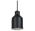 Подвесной светильник Arte Lamp Lark A7073SP-1BK