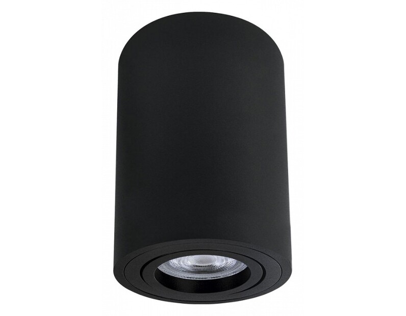 Накладной светильник Arte Lamp Sentry A1566PL-1BK