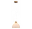 Подвесной светильник Arte Lamp Caprice A4184SP-1BR