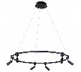 Подвесной светильник Arte Lamp Ring A2186SP-1BK