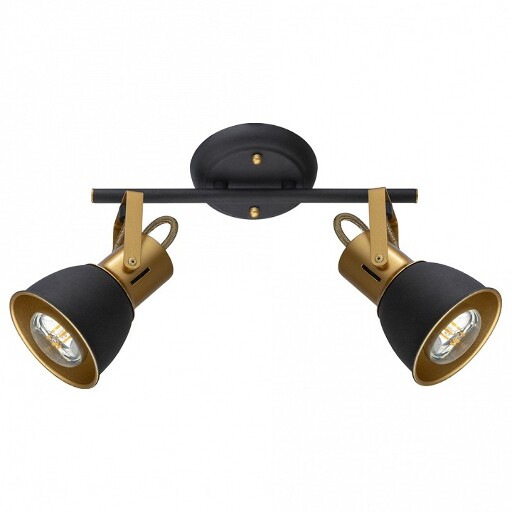 Спот Arte Lamp Jovi A1677PL-2GO