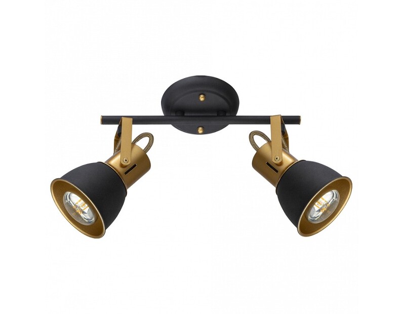 Спот Arte Lamp Jovi A1677PL-2GO