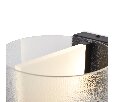 Настенный светильник (бра) Freya Ice FR5541WL-L5B