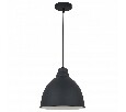 Подвесной светильник Arte Lamp Braccio A2055SP-1BK